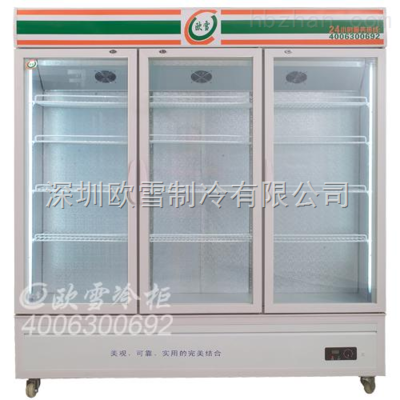 家用冷藏柜 立式設(shè)計(jì)的優(yōu)勢(shì)與應(yīng)用前景